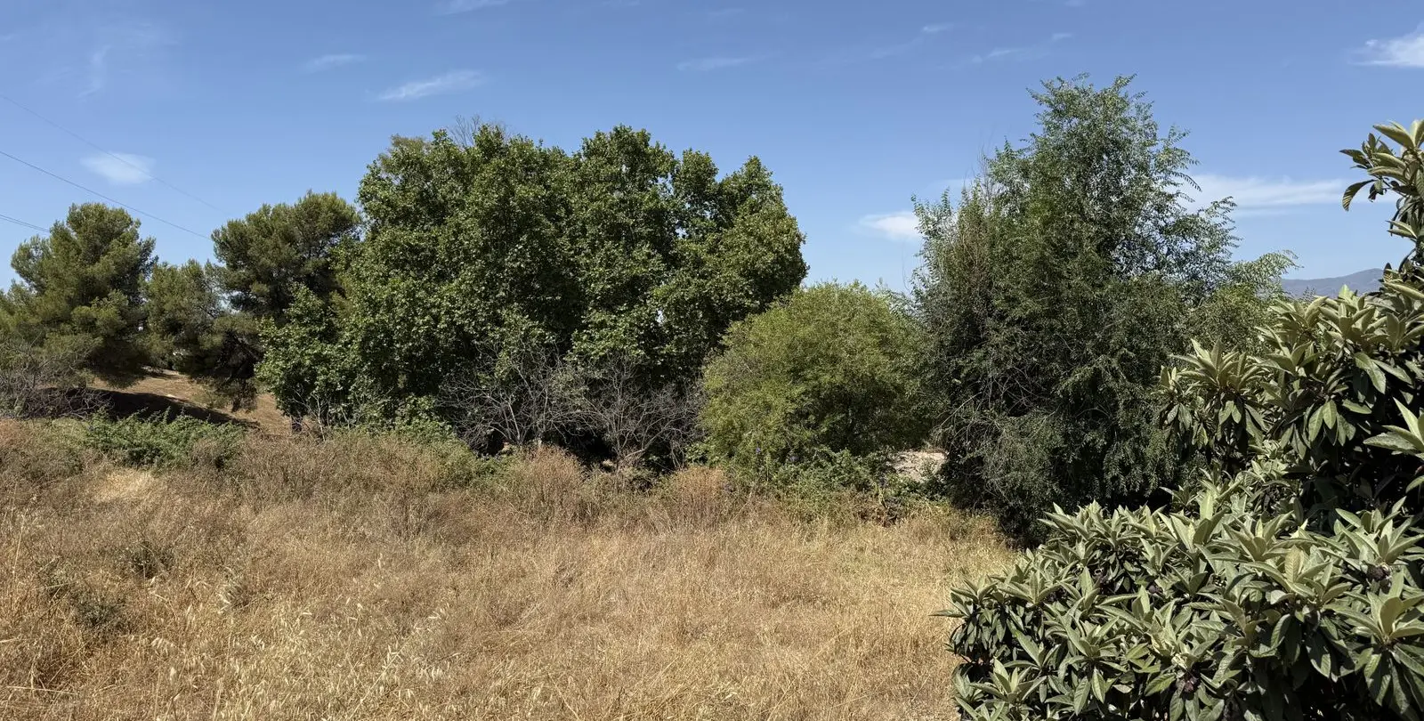 Продажа  жилого участка в San Pedro de Alcántara 6