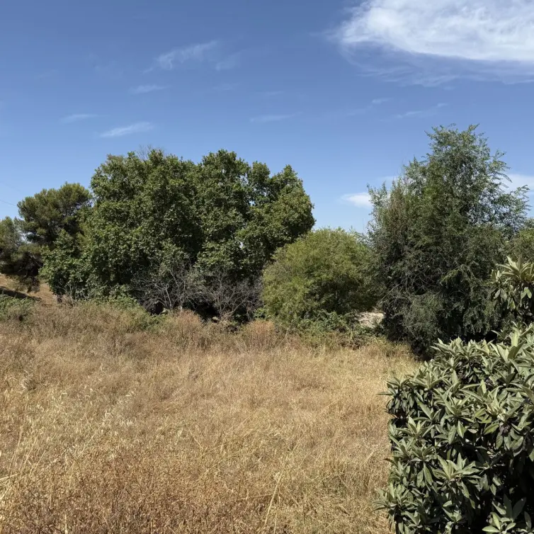 Продажа  жилого участка в San Pedro de Alcántara