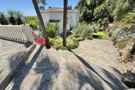Image 7 thumb