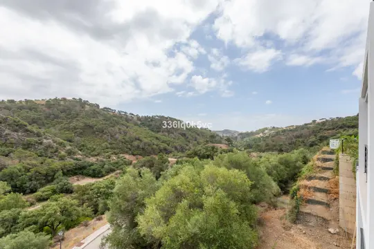 Image 82 thumb
