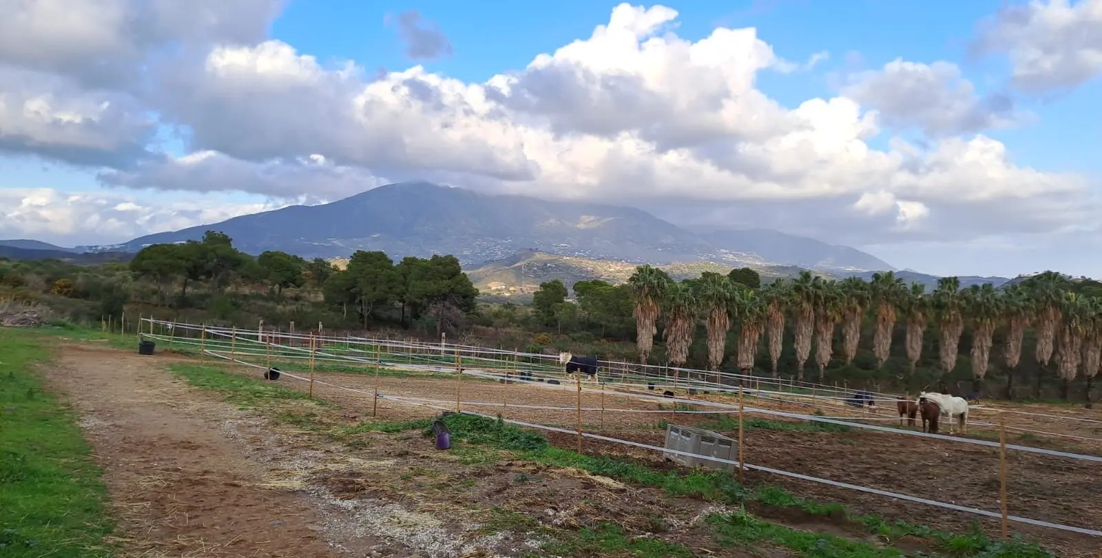 Продажа объекта в Campo Mijas 1