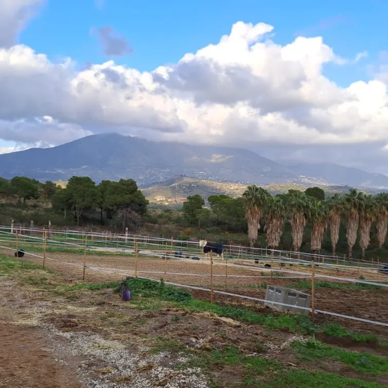 Продажа объекта в Campo Mijas