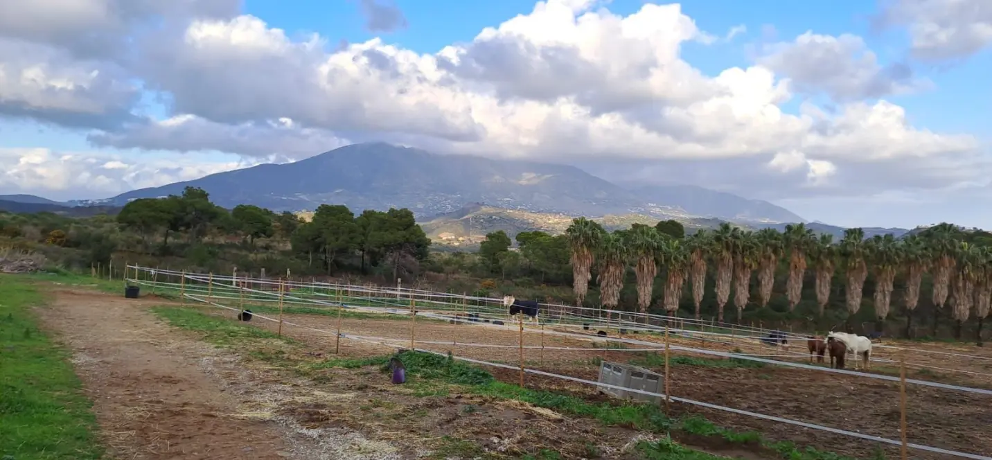 Продажа объекта в Campo Mijas 0