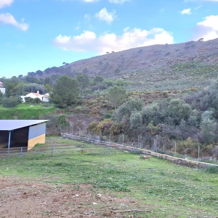 Продажа объекта в Campo Mijas