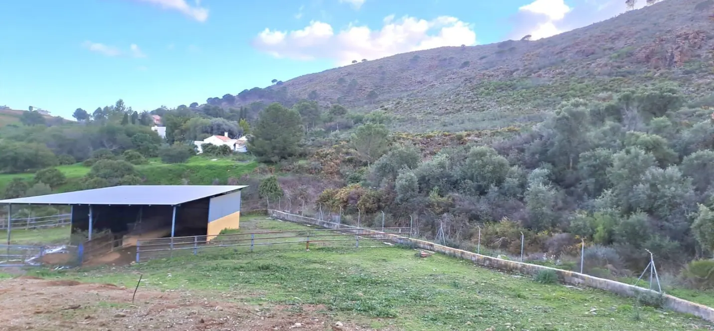 Продажа объекта в Campo Mijas 1