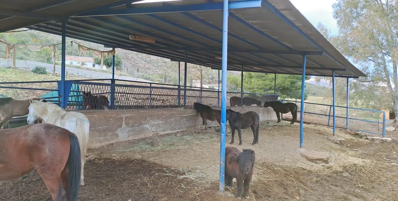 Продажа объекта в Campo Mijas 4