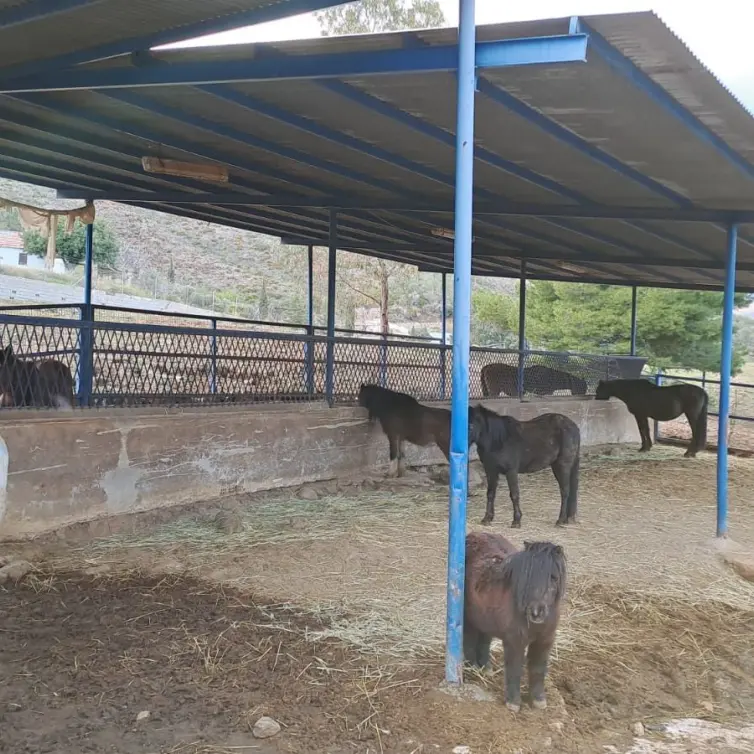 Продажа объекта в Campo Mijas