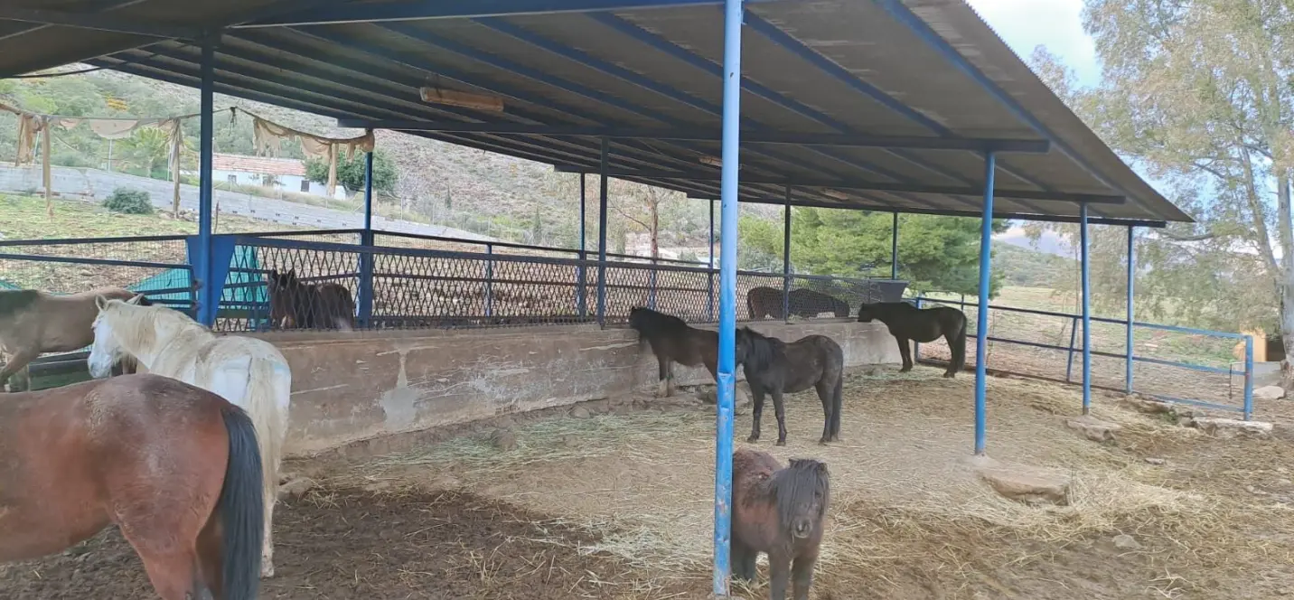 Продажа объекта в Campo Mijas 3