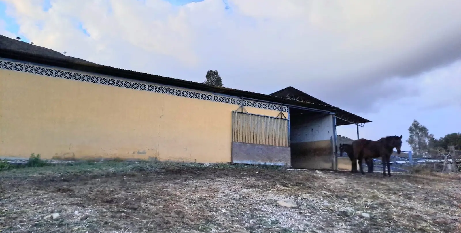 Продажа объекта в Campo Mijas 11