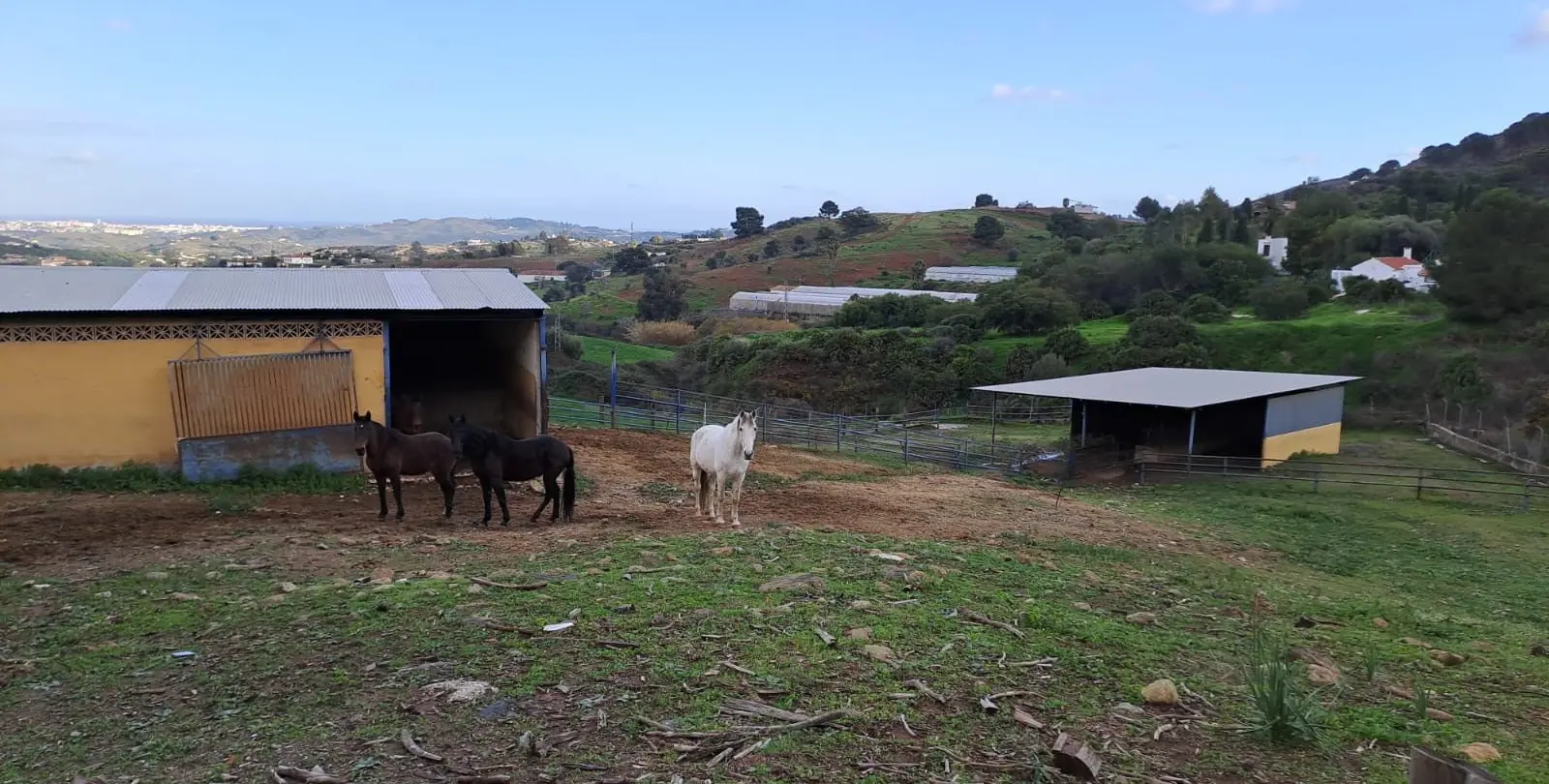 Продажа объекта в Campo Mijas 13