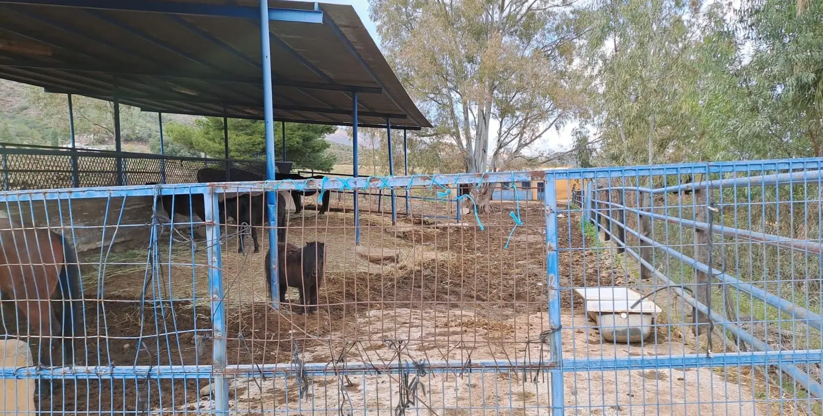 Продажа объекта в Campo Mijas 15