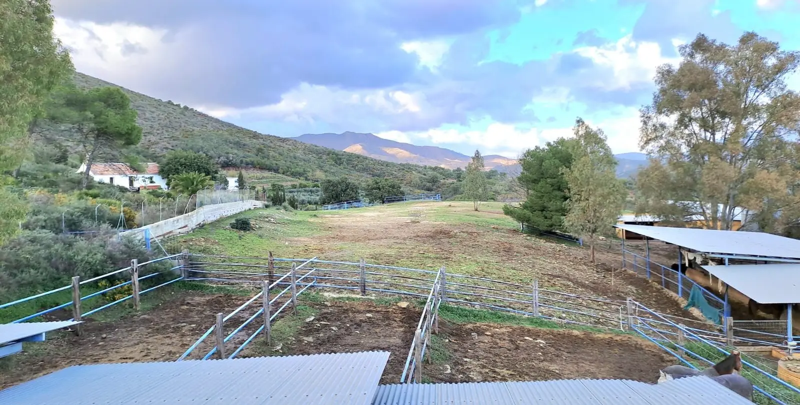 Продажа объекта в Campo Mijas 19
