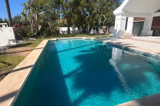 Image 4 thumb