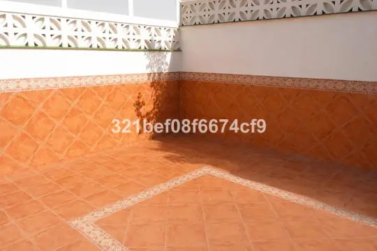 Image 5 thumb