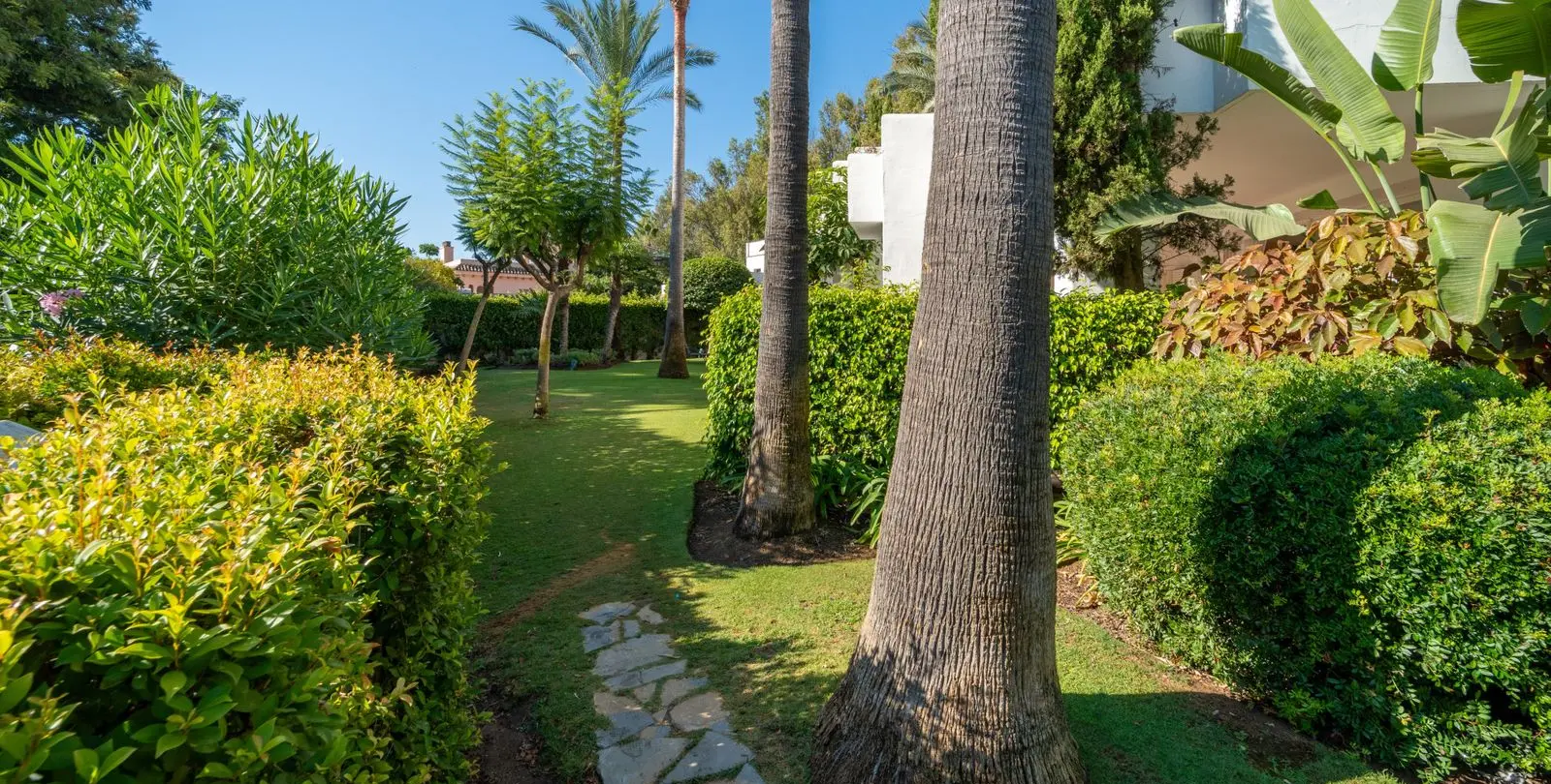 Sale of ground floor apartment in Estepona 5