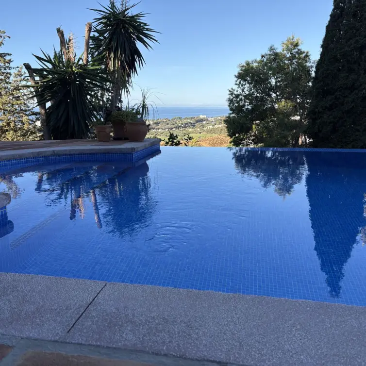 Sale of detached villa in El Rosario