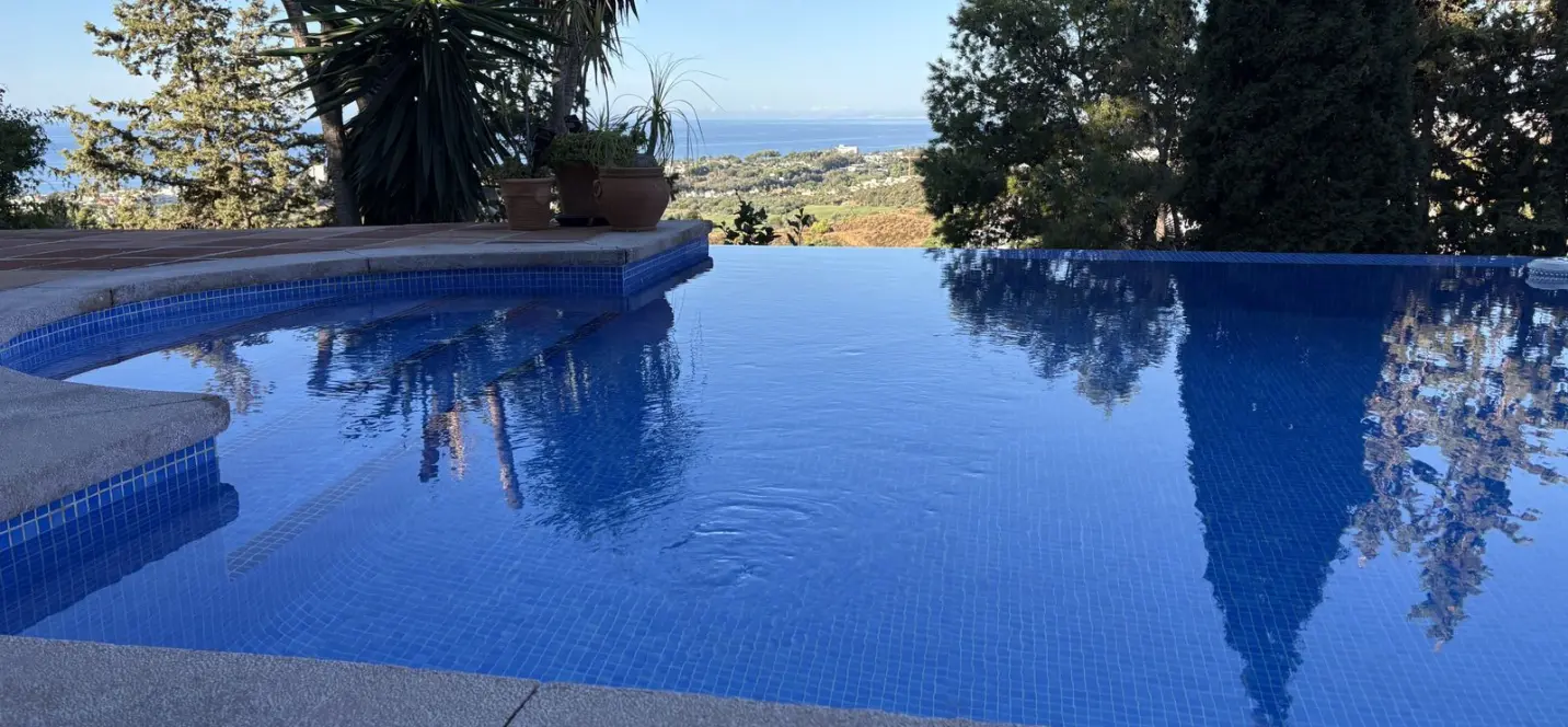 Sale of detached villa in El Rosario 0