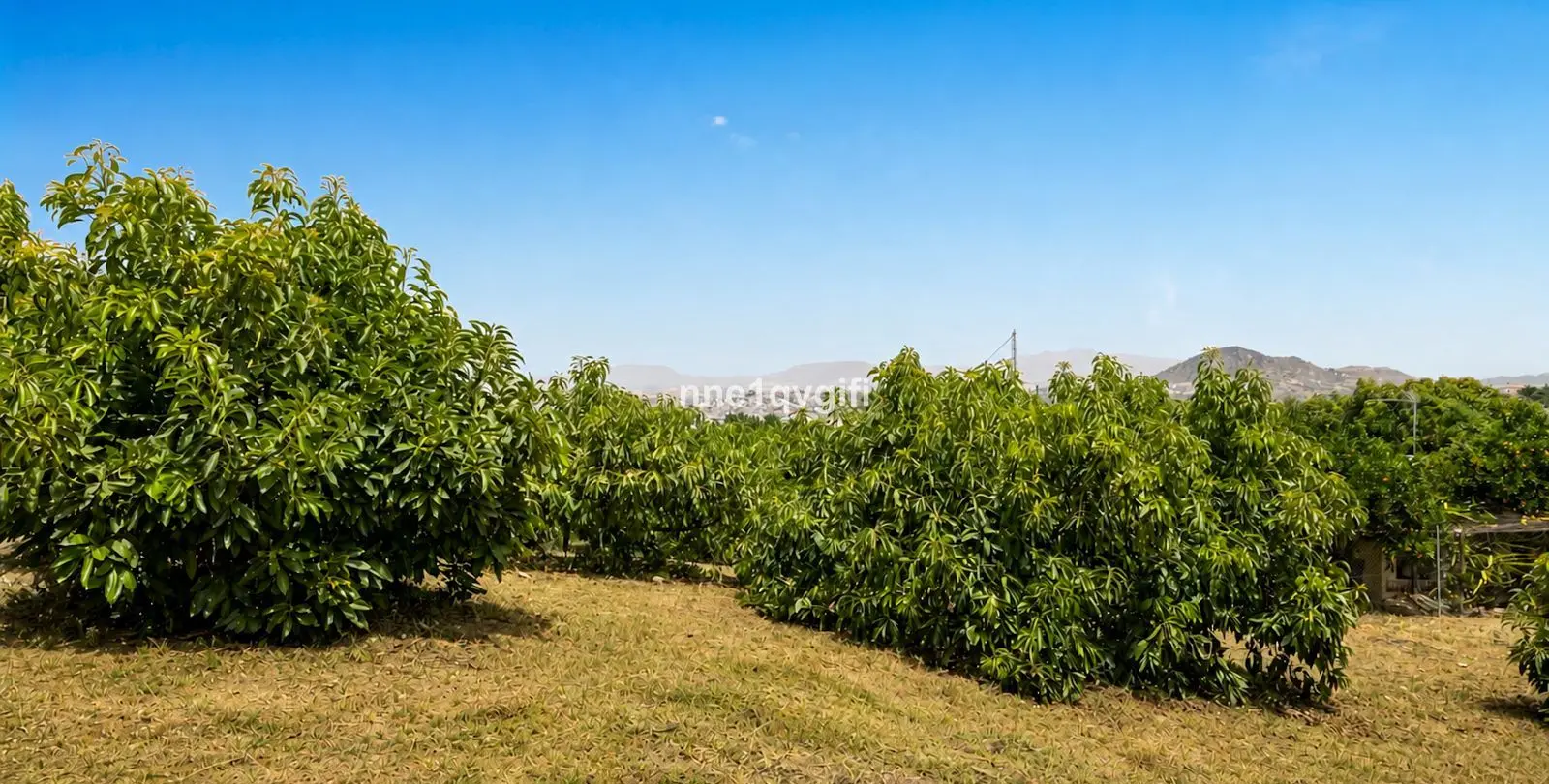 Продажа  отдельно стоящей виллы в Coín 57