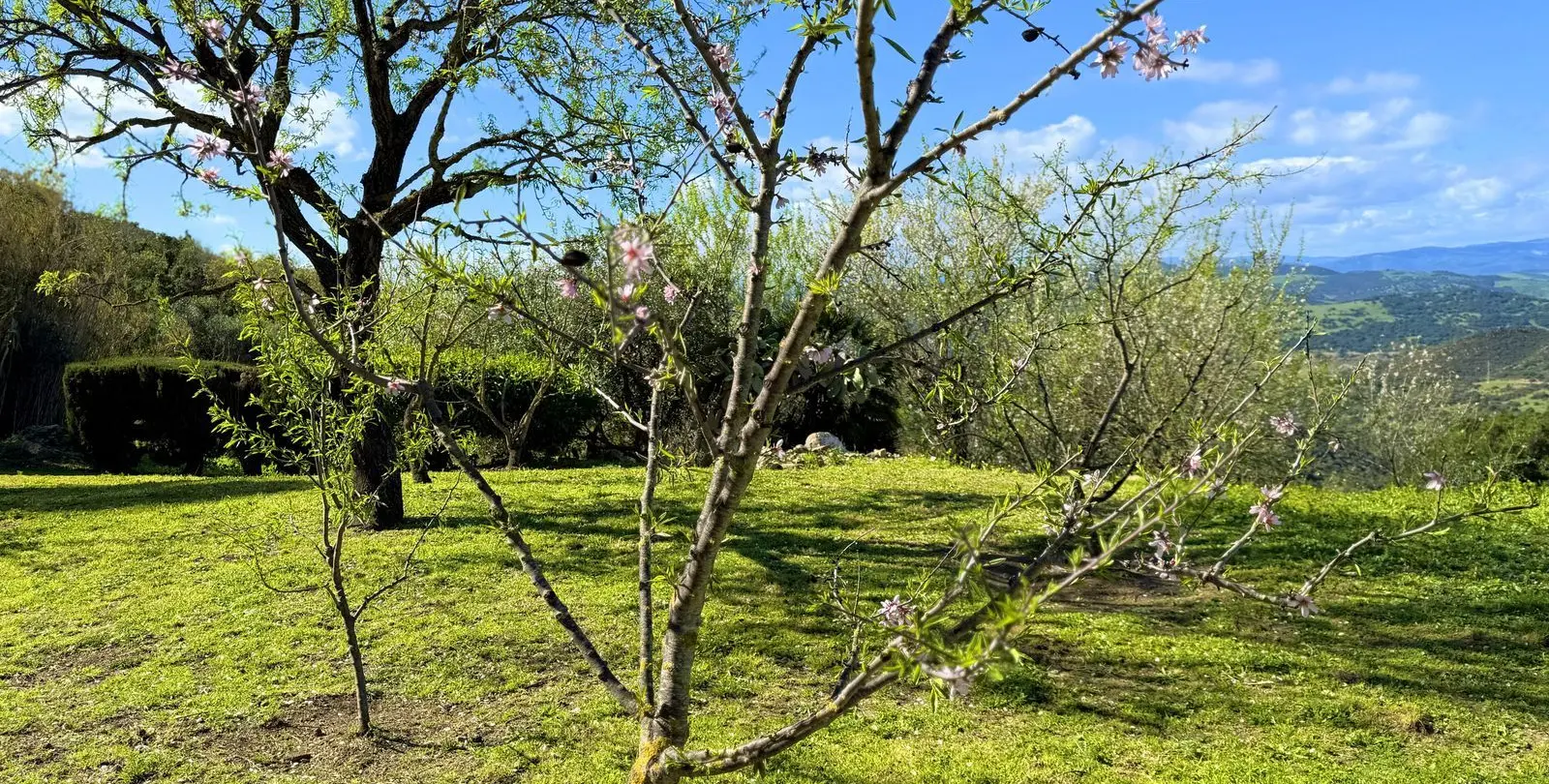 Venta de villa independiente en Casares 44