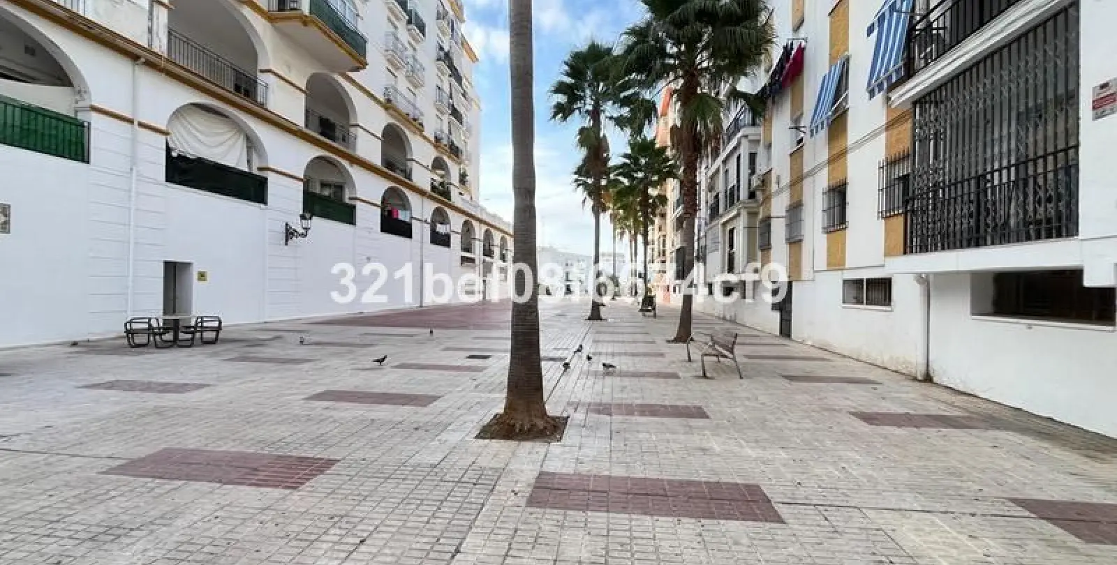 Sale of other in Estepona 3