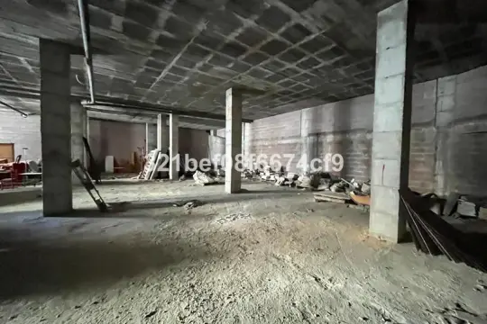Image 8 thumb
