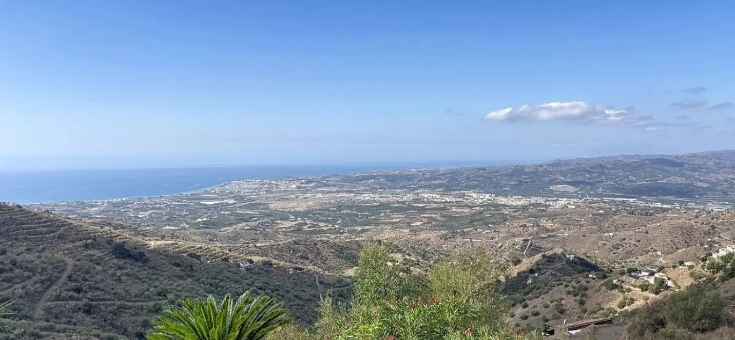 Продажа  отдельно стоящей виллы в Algarrobo 1