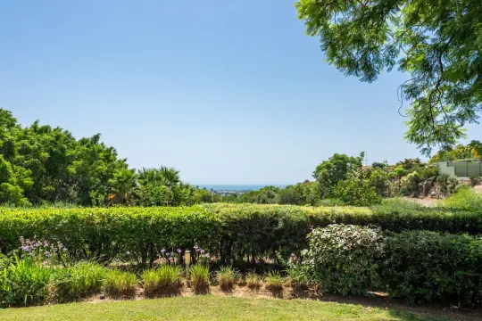 Image 53 thumb