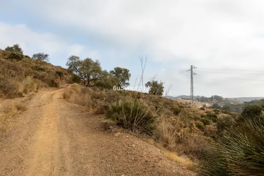 Image 6 thumb