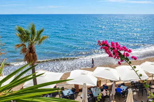 Image 73 thumb