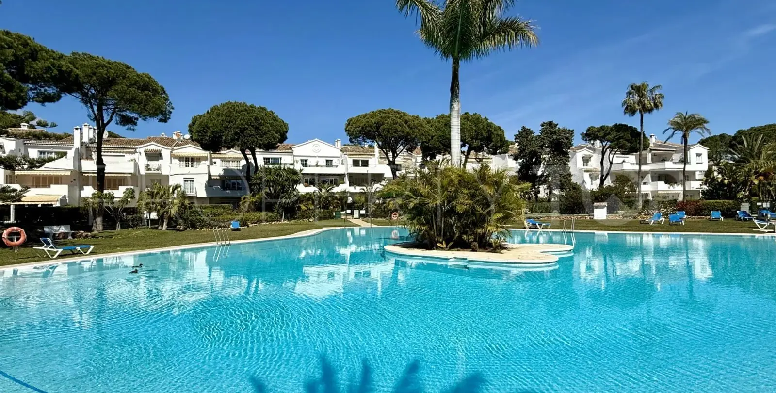 Sale of middle floor apartment in El Presidente 1