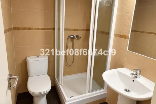 Image 9 thumb
