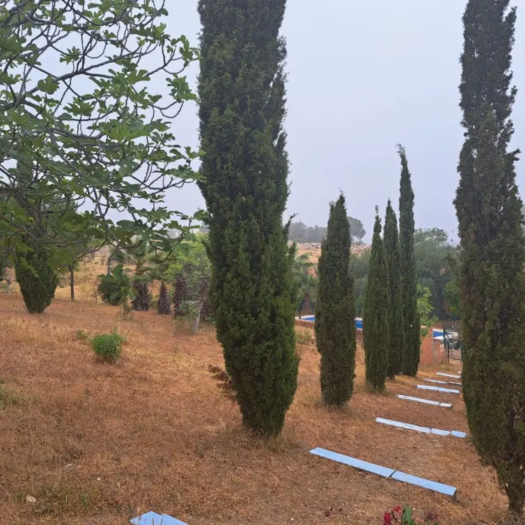 Venta de finca - cortijo en Entrerrios