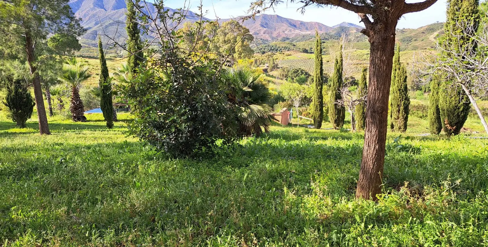Sale of finca - cortijo in Entrerrios 40