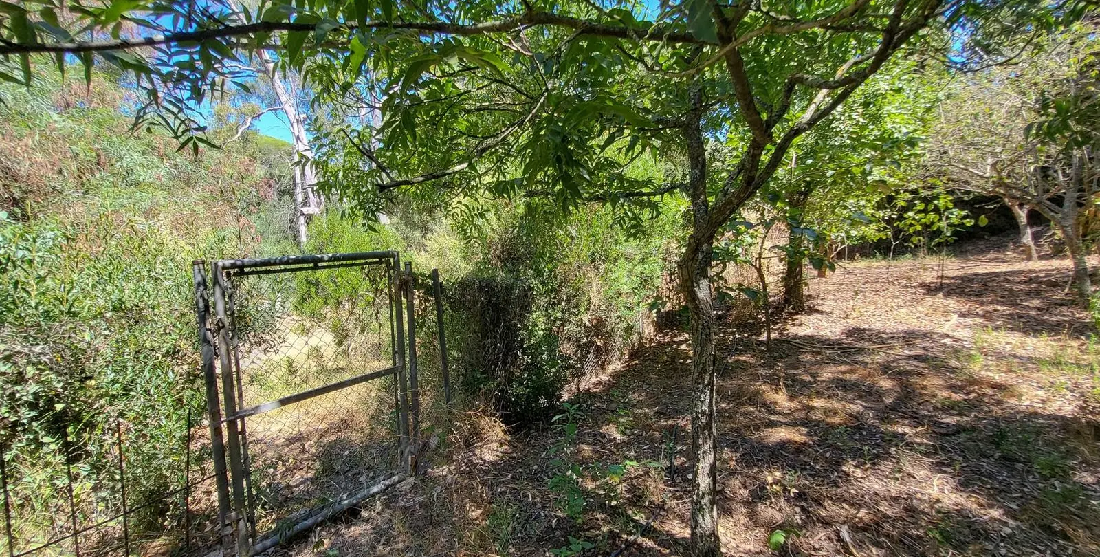 Venta de villa independiente en Elviria 33