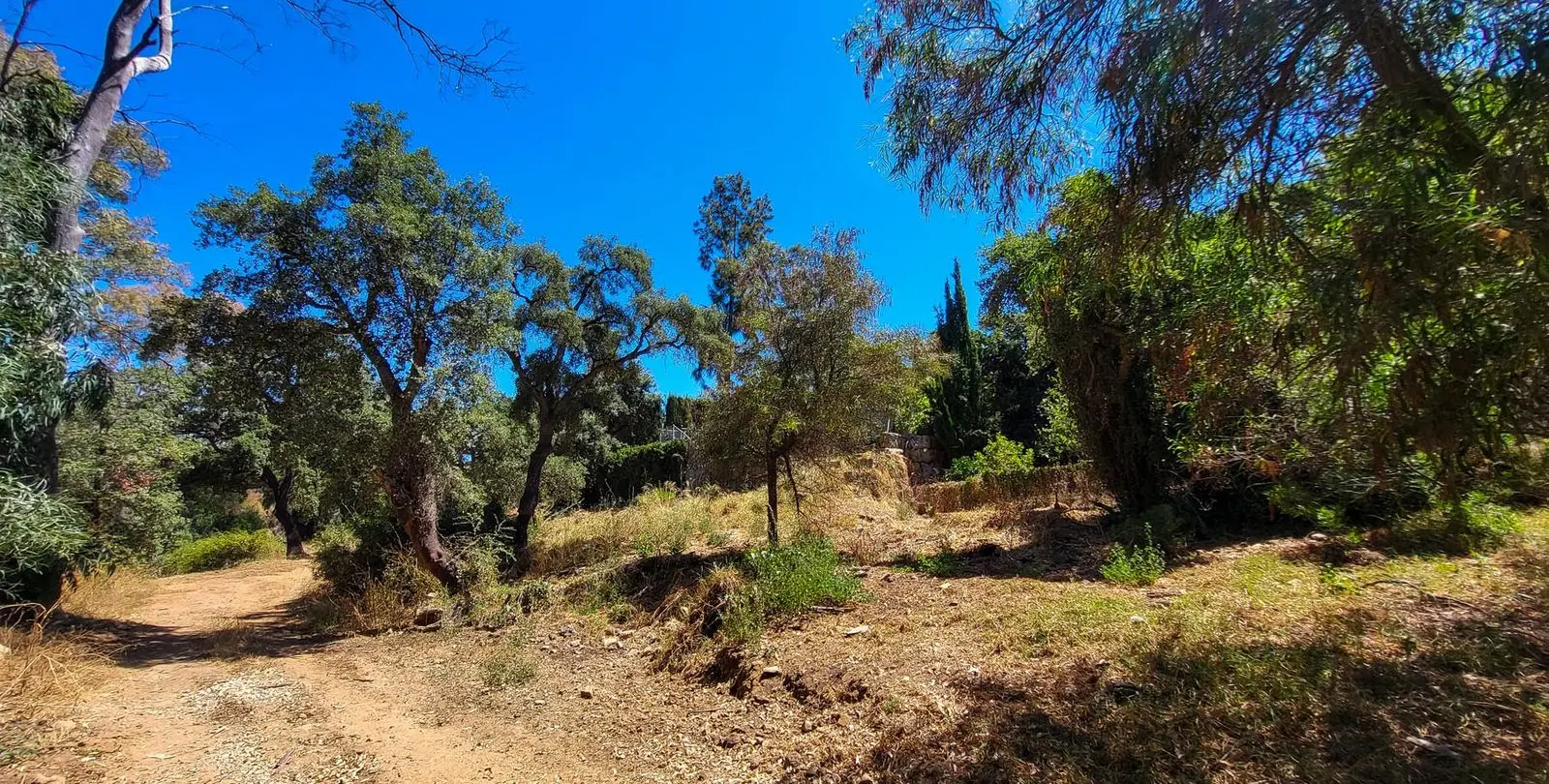 Venta de villa independiente en Elviria 35