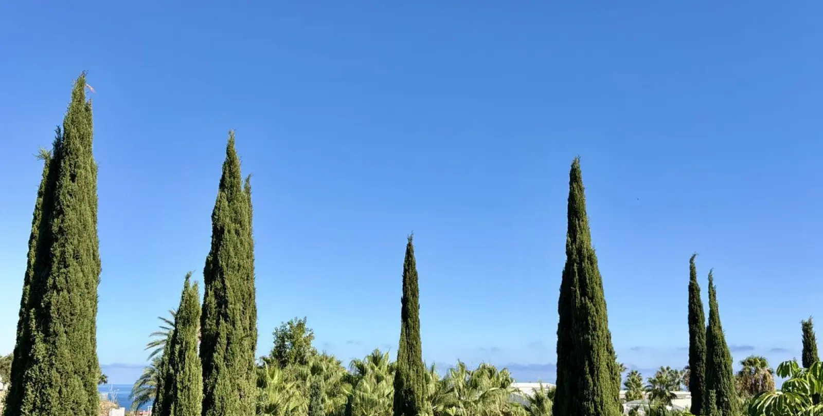 Sale of semi-detached house in Benalmadena 3