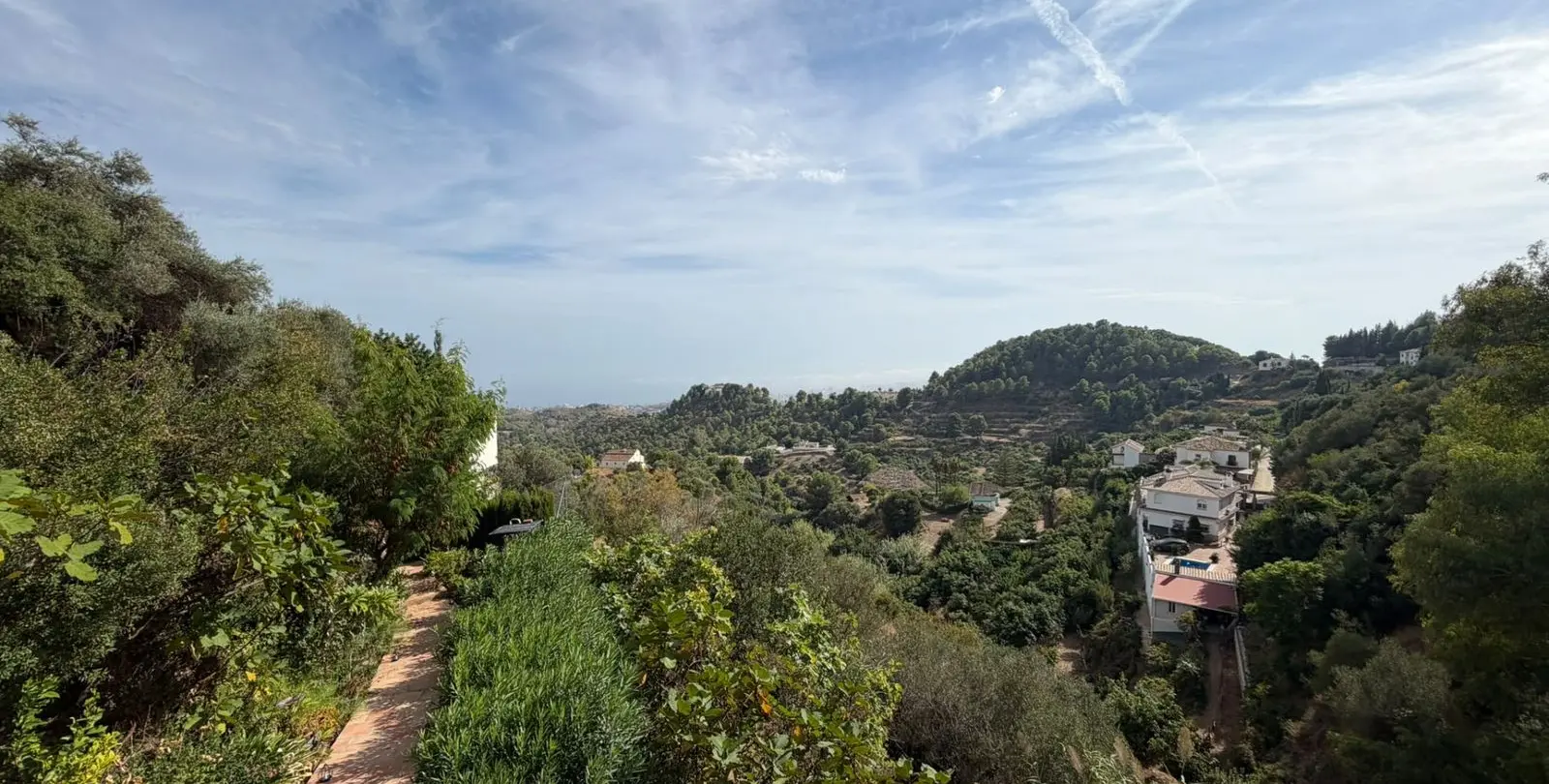 Sale of detached villa in Mijas Costa 3