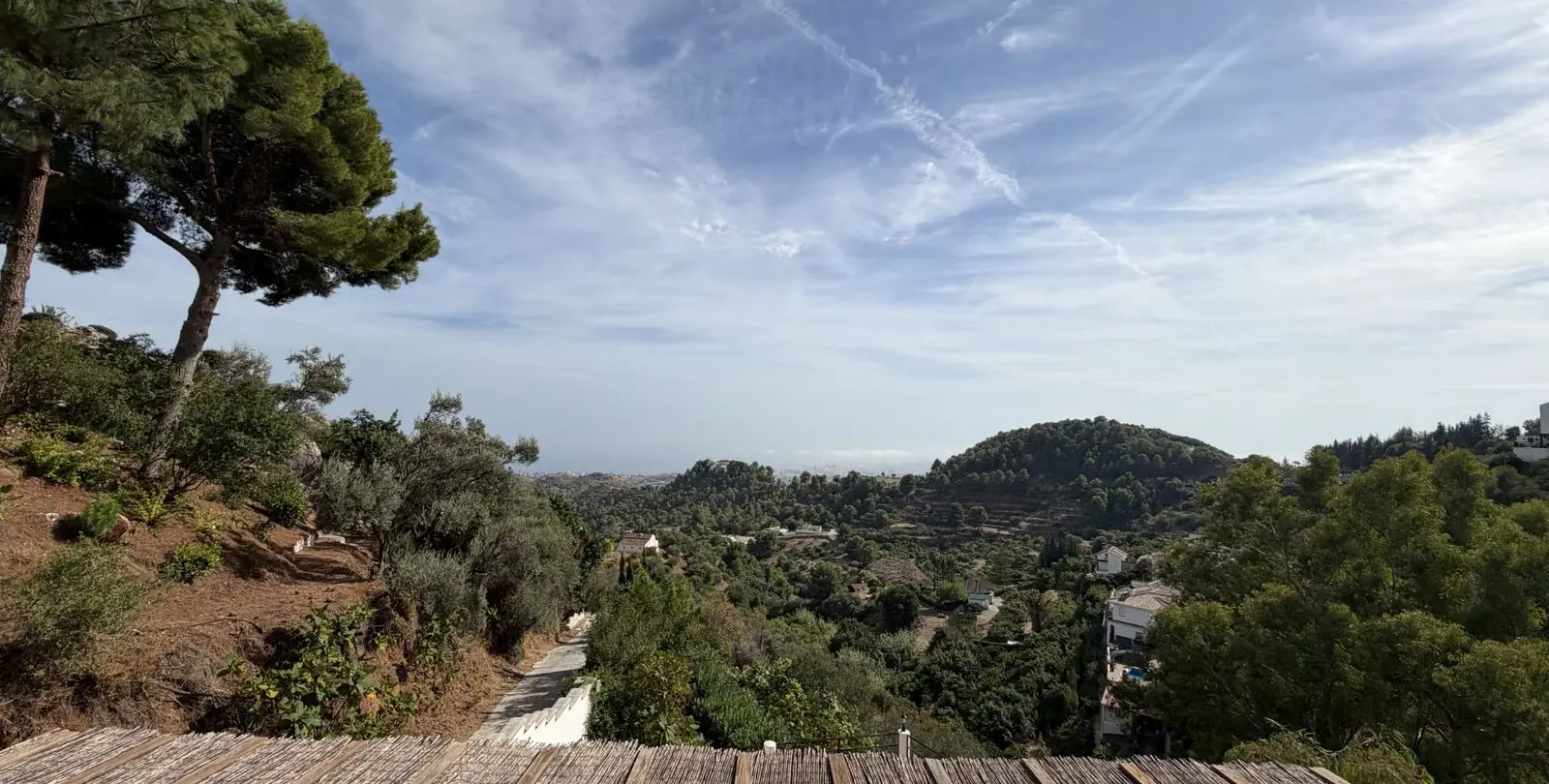 Sale of detached villa in Mijas Costa 26