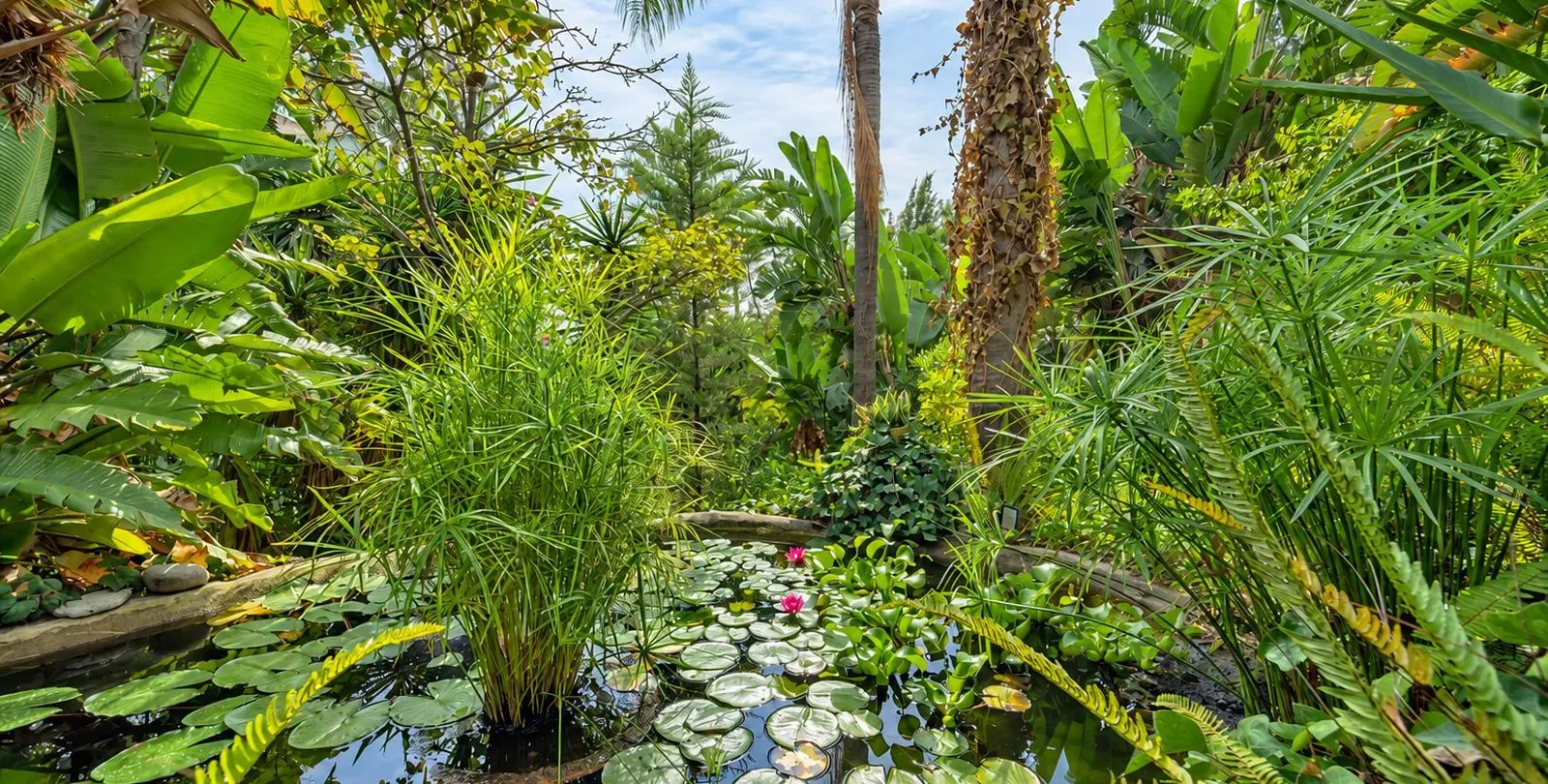 Продажа пентхауса в Reserva de Marbella 25