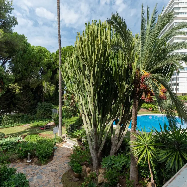 Sale of middle floor apartment in Río Real