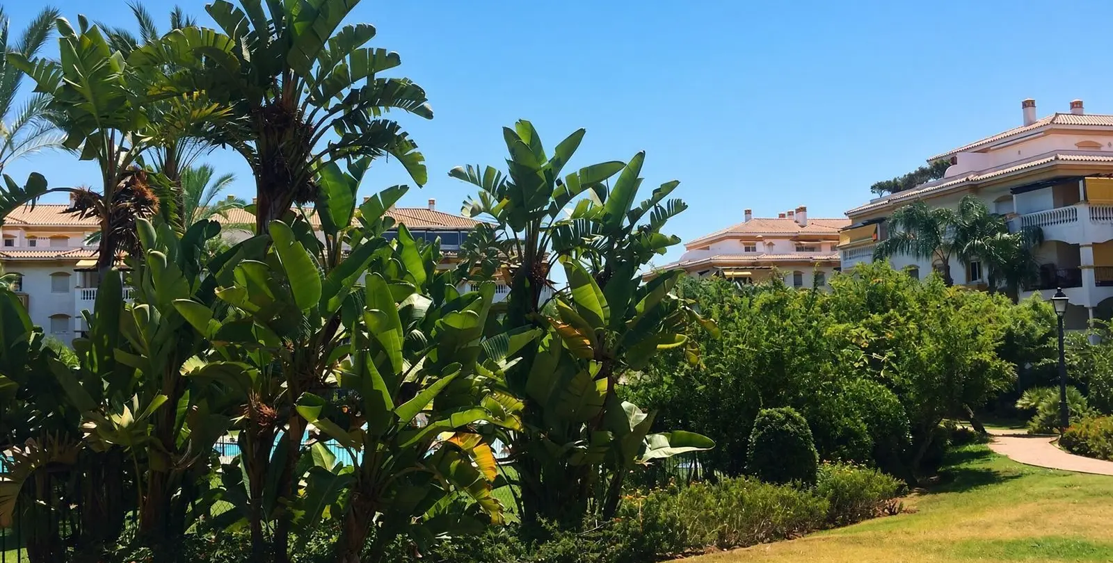 Продажа пентхауса в Nueva Andalucía 23