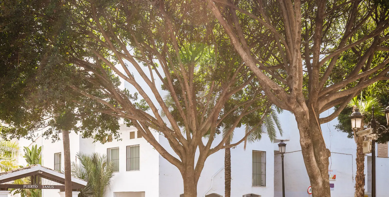 Long-term rent of commercial premises in Puerto Banús 38