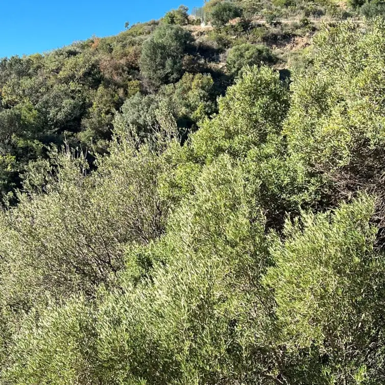 Venta de parcela residencial en Altos de los Monteros