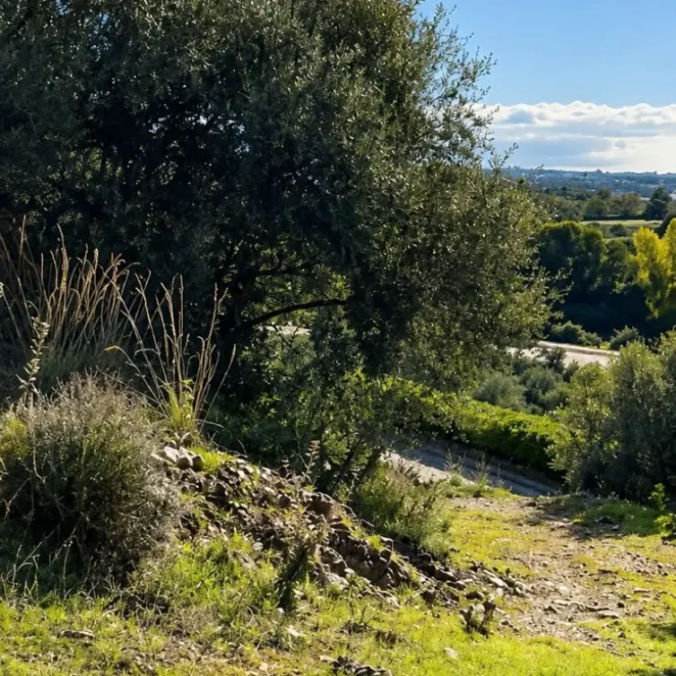 Venta de parcela residencial en Altos de los Monteros