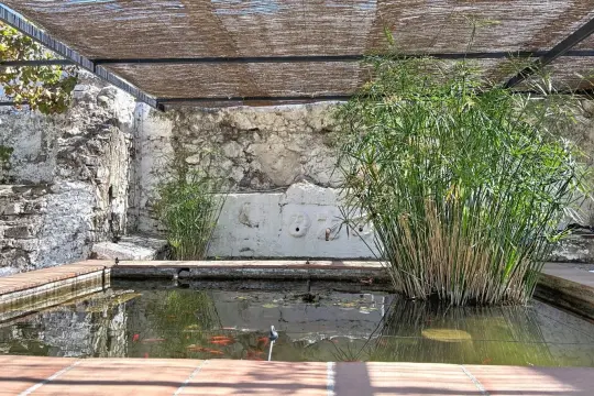 Image 8 thumb