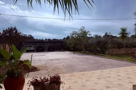 Image 5 thumb