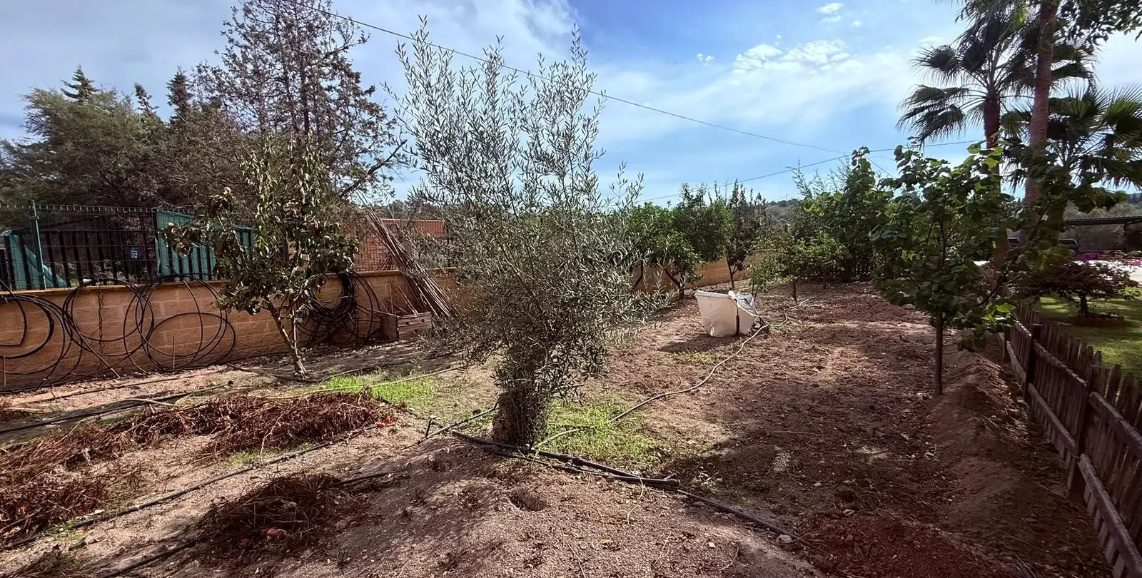 Venta de finca - cortijo en Santa Rosalía 50
