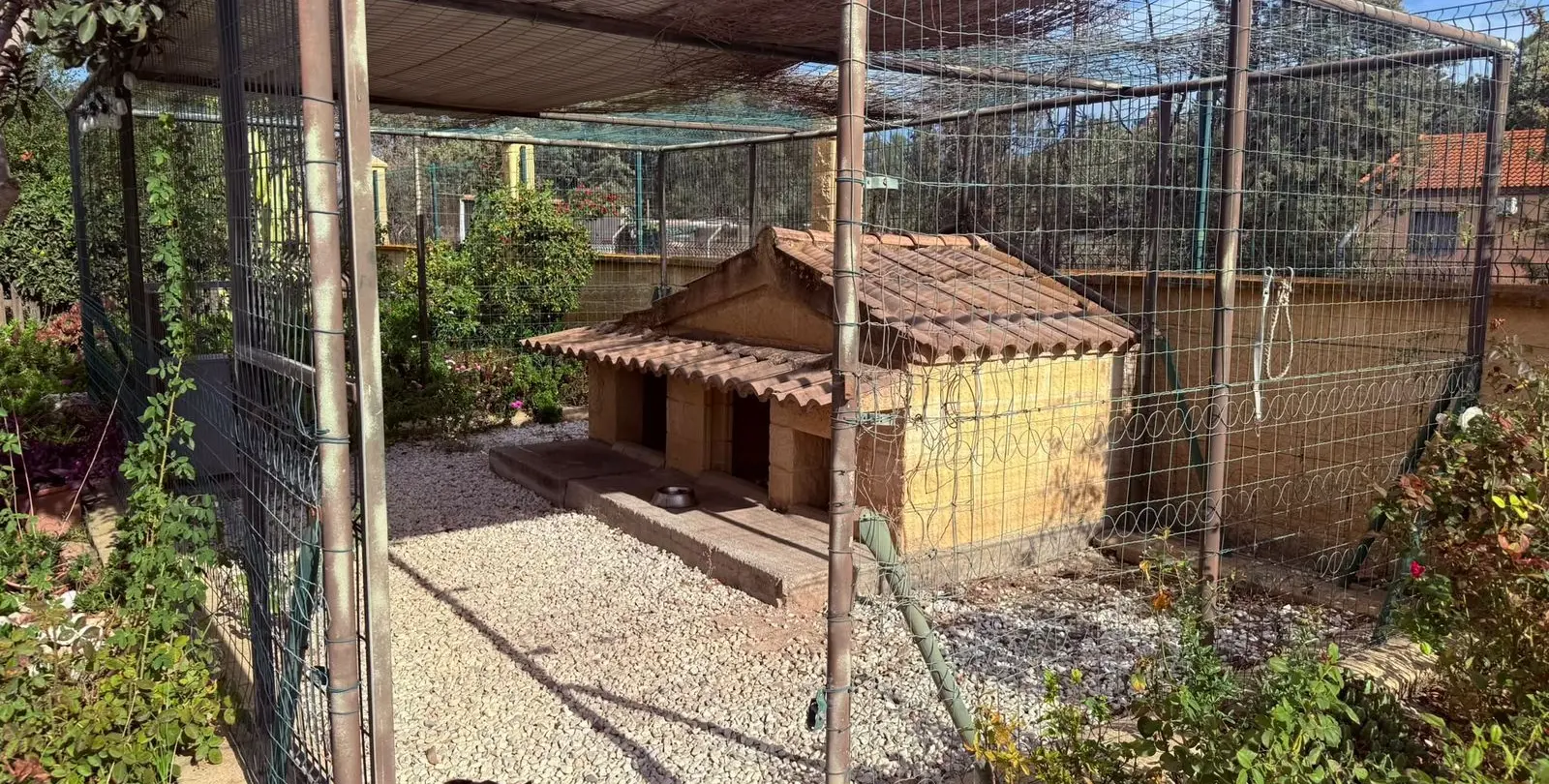 Venta de finca - cortijo en Santa Rosalía 55