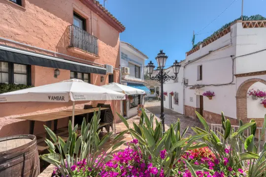 Image 4 thumb