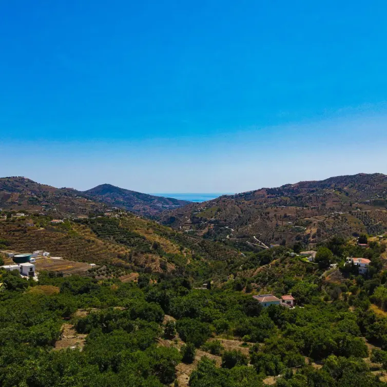 Venta de finca - cortijo en Canillas de Albaida